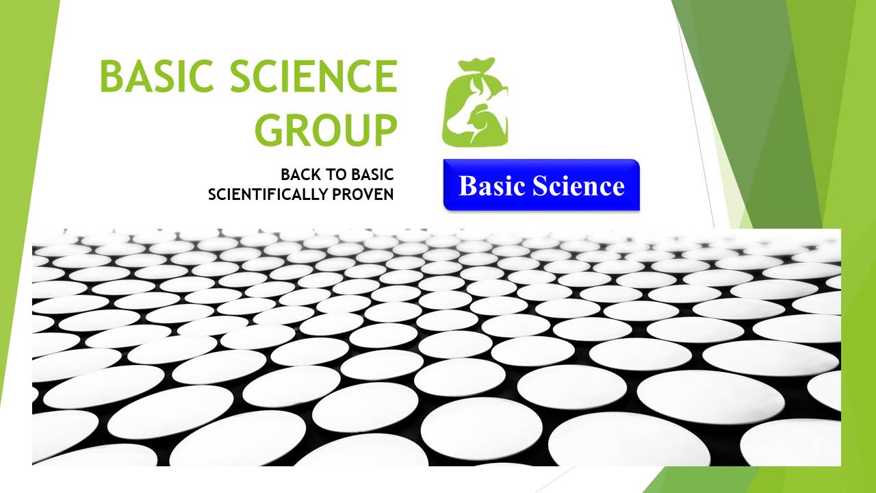 templatemo home image